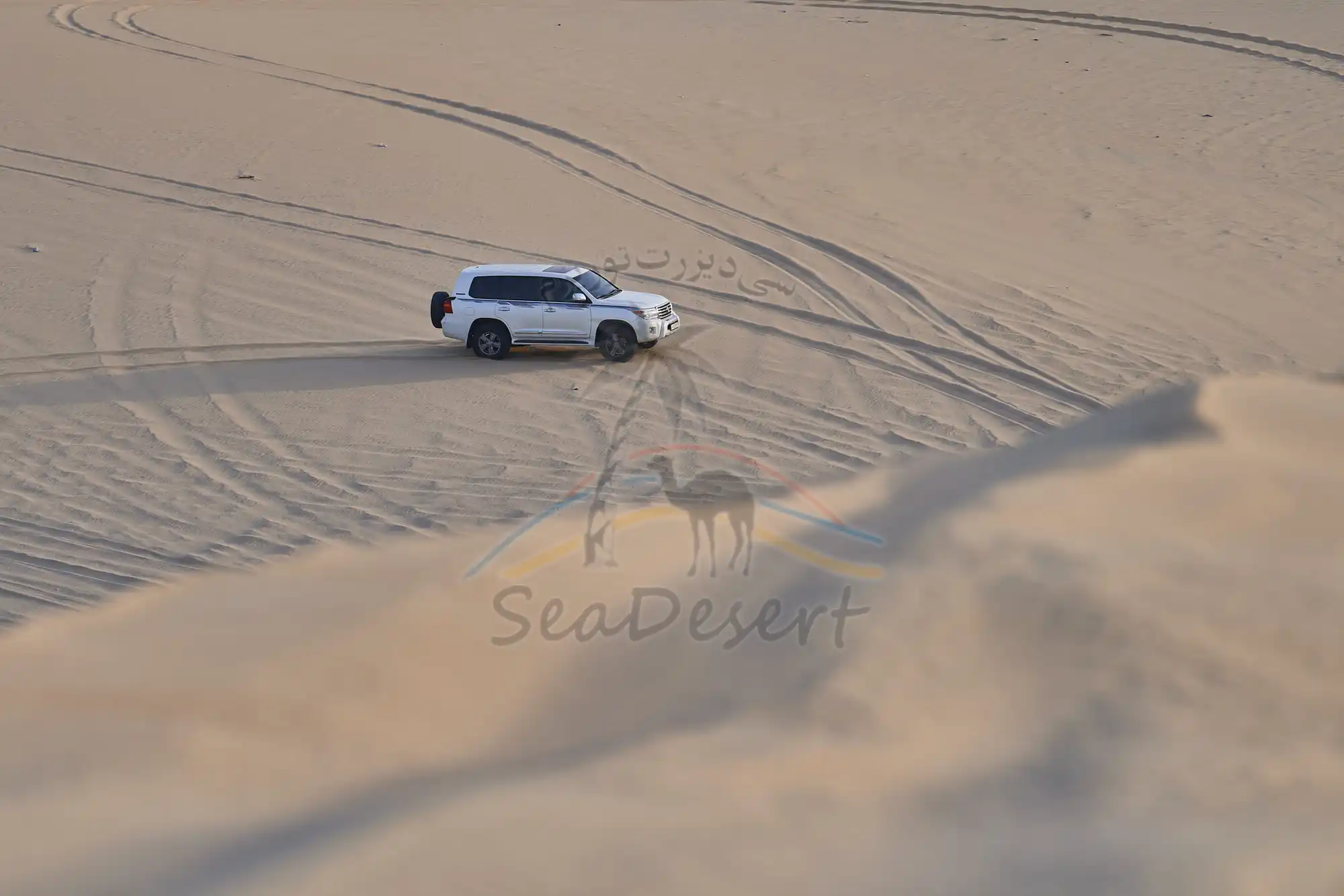 Sea Desert Tourism