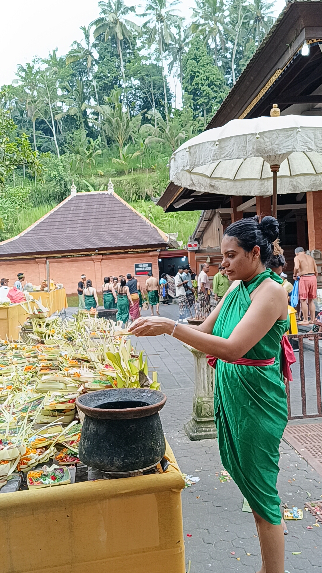Ubud Daily Trips