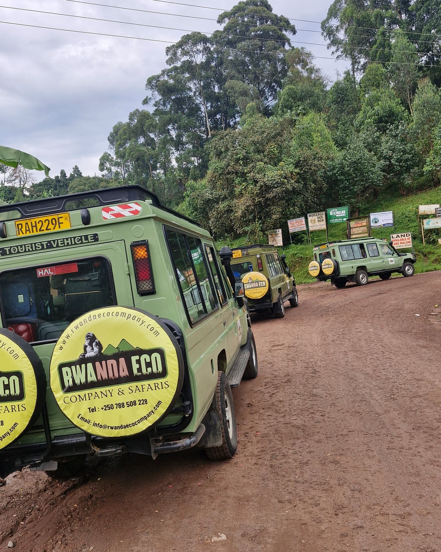 Rwanda Eco Company and Safaris
