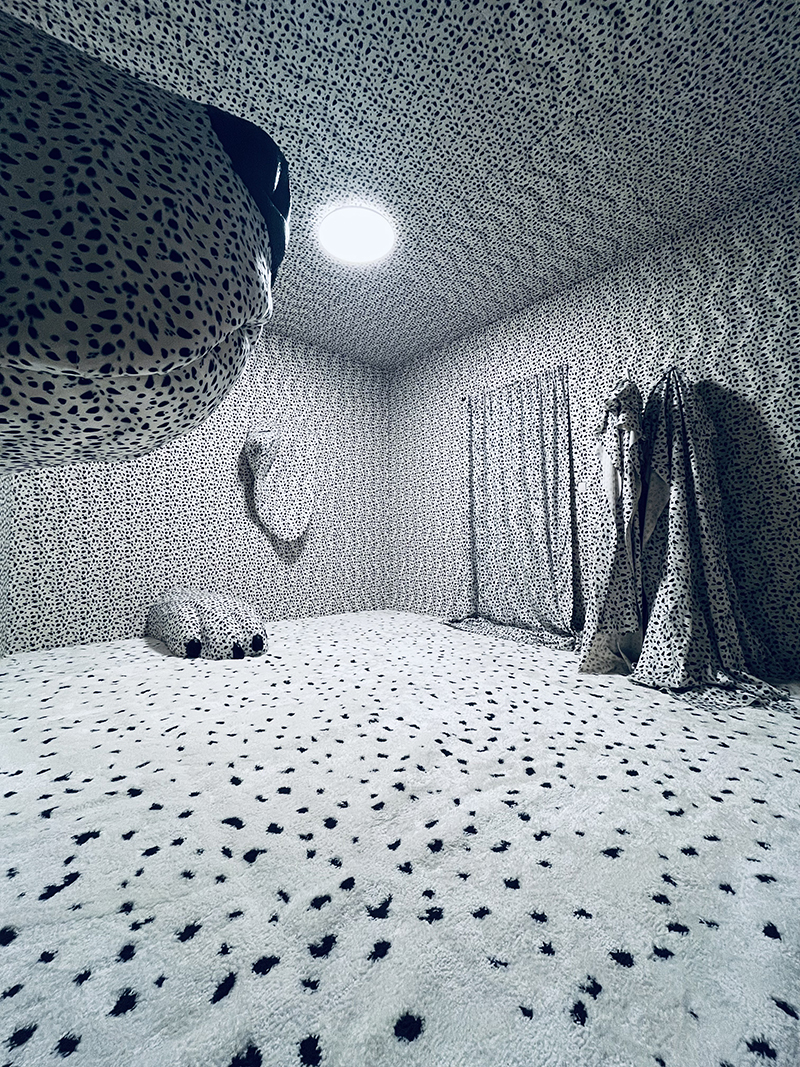 Home of the Dalmatian dog