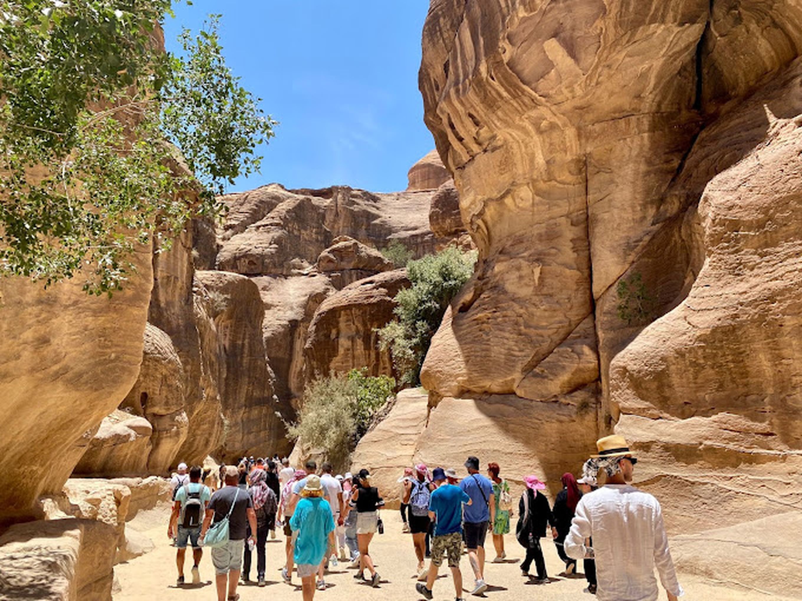 Stepway Tours