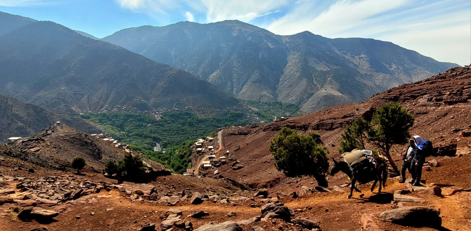 amazigh family riad