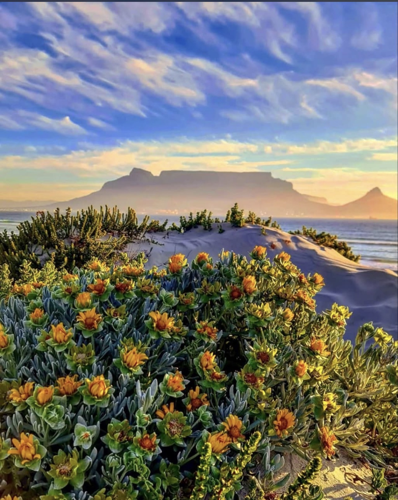 Compass rose travel