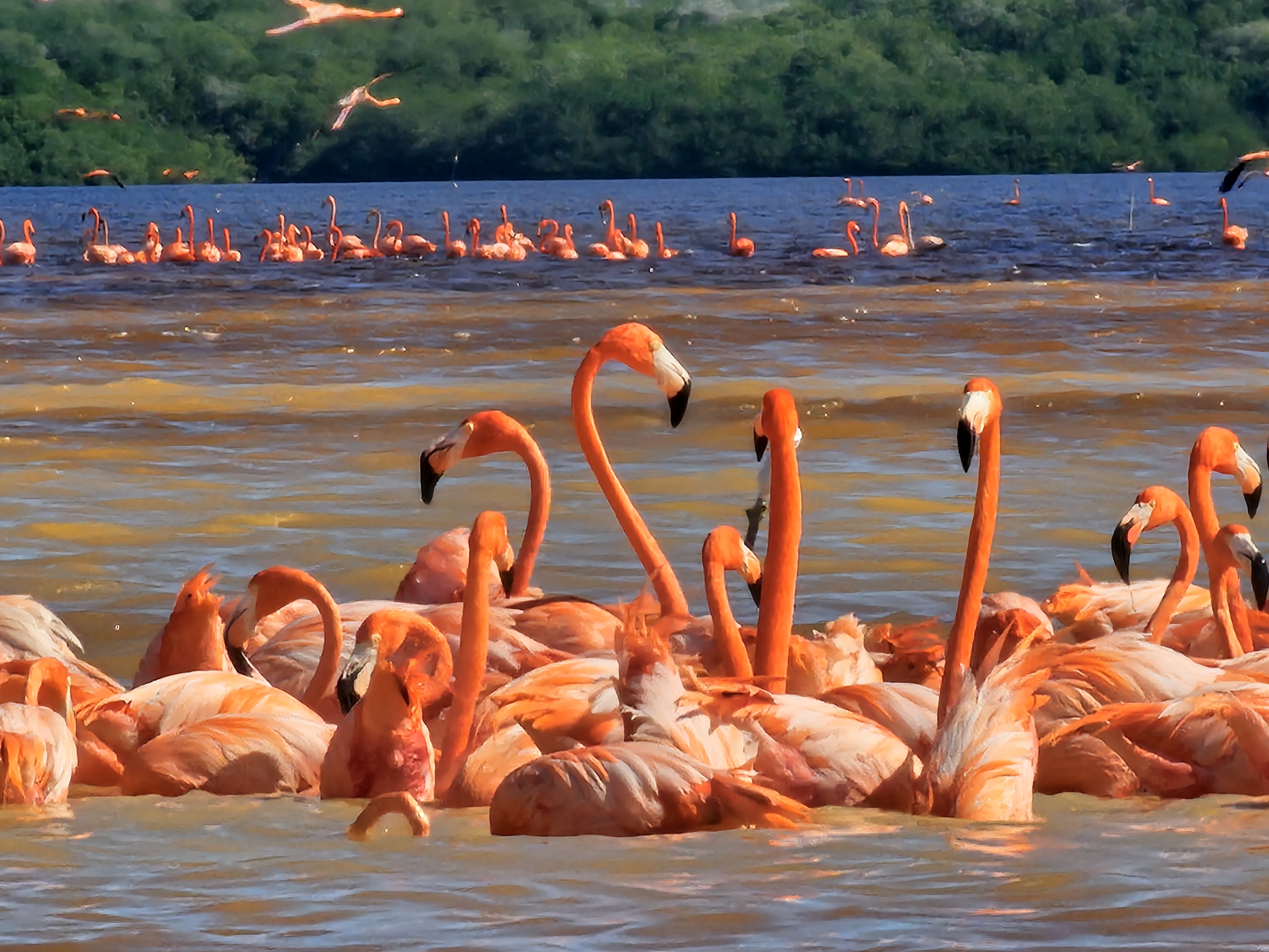 Guías de Yucatán