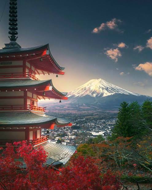 Travizta Tours – Private Mount Fuji & Tokyo Tours with English-Speaking Driver