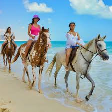Egypt white desert tours
