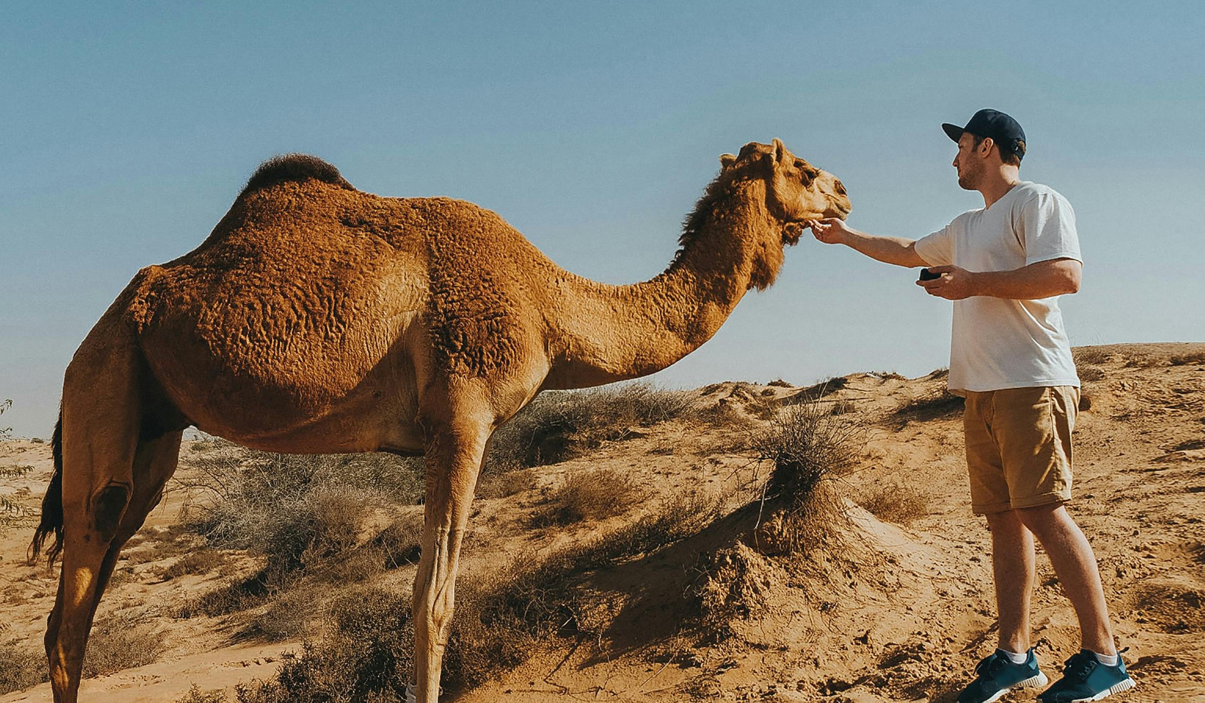 Agadir Travel Excursions