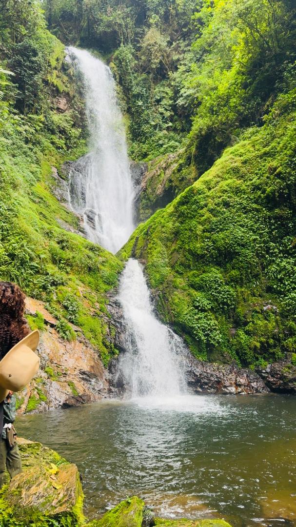 INSIGHT TOURS AND TRAVEL