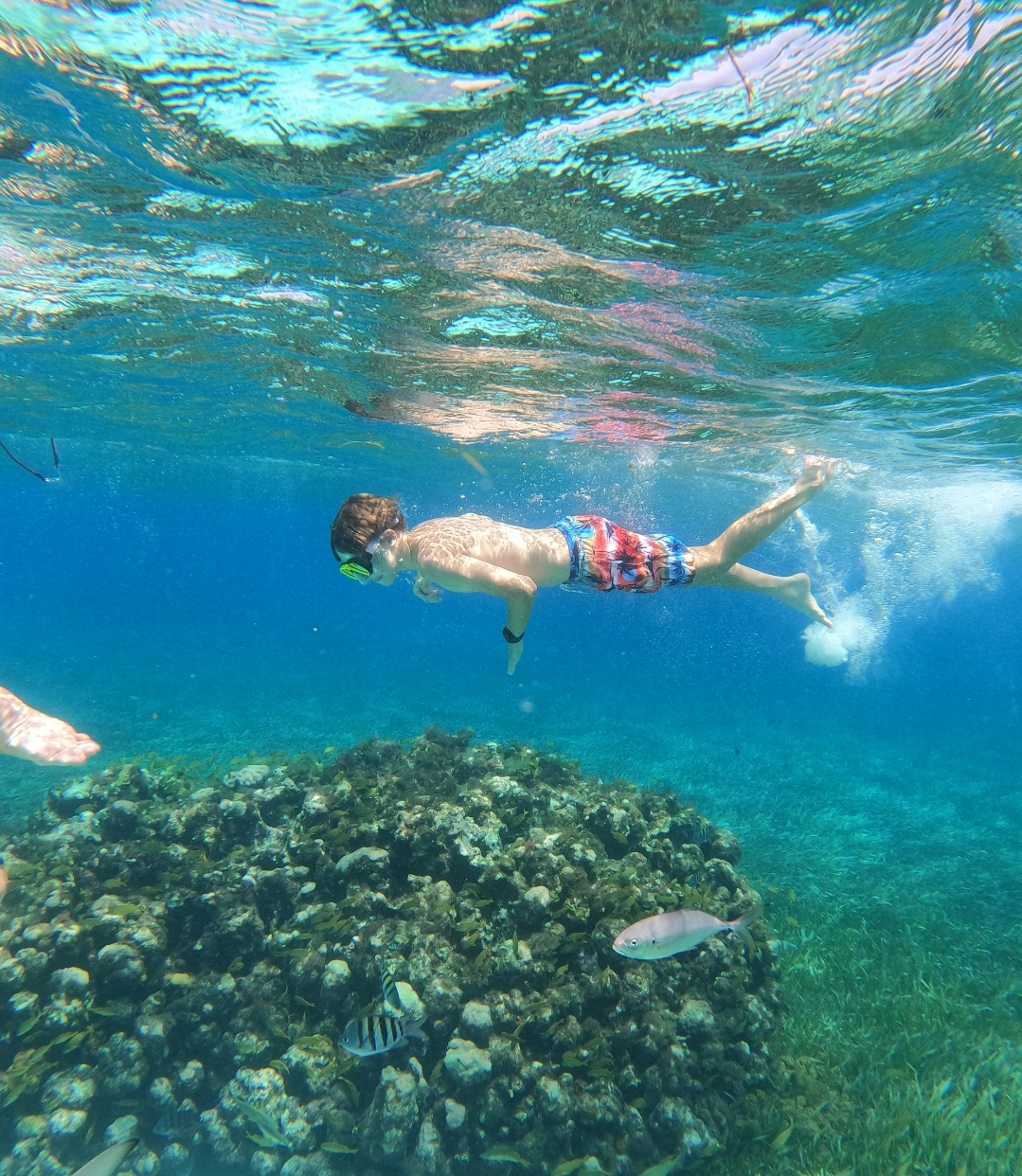 Benjamin Tours Riviera Maya