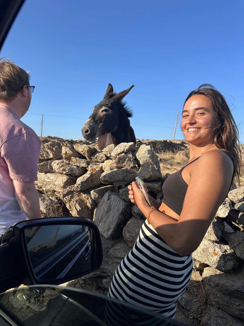 WCM MYKONOS TOURS