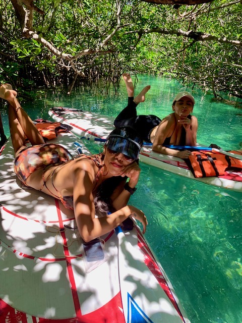 360 Kayak & Paddleboard Tours Cancun