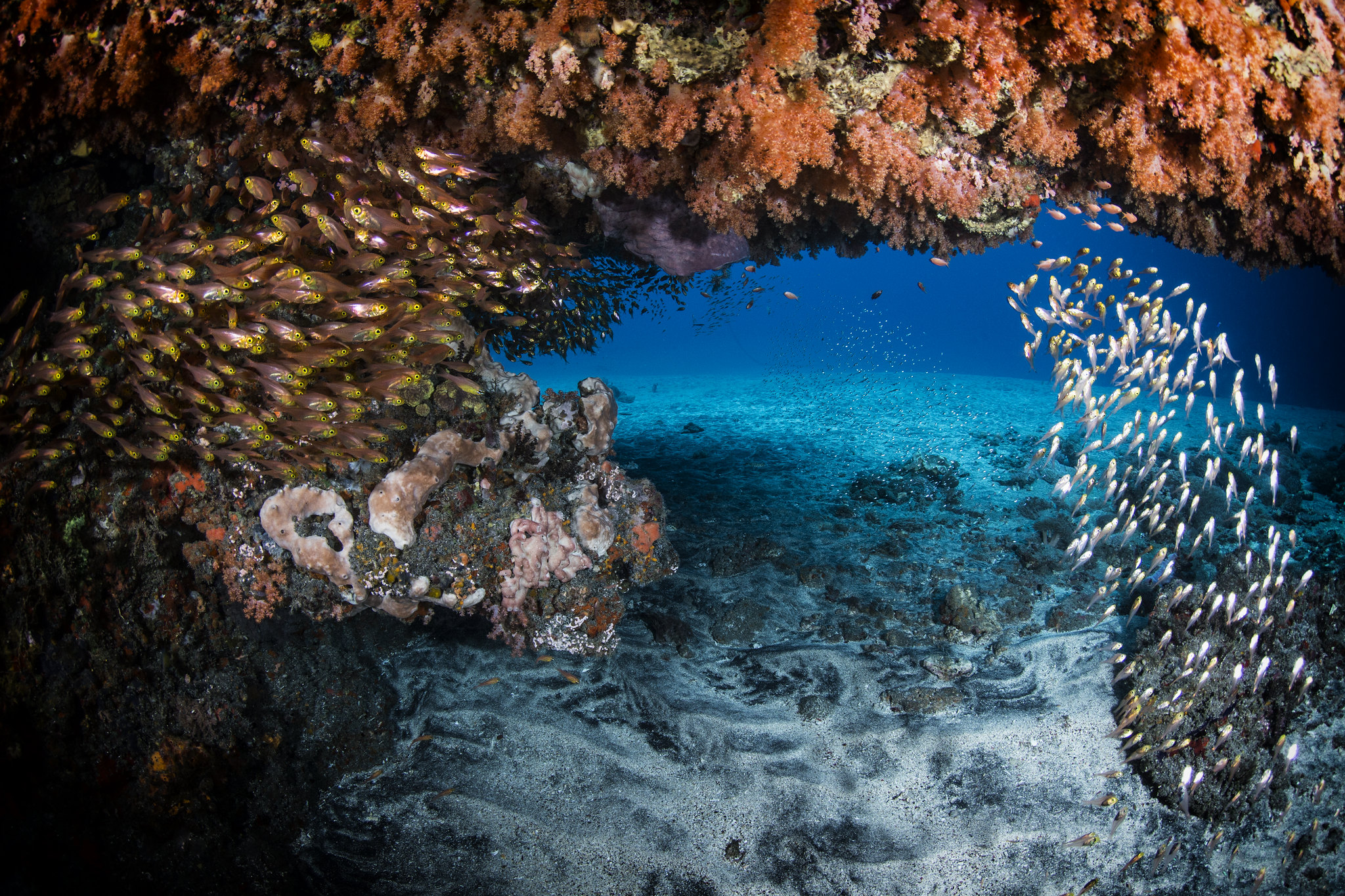 Dive Concepts Tulamben