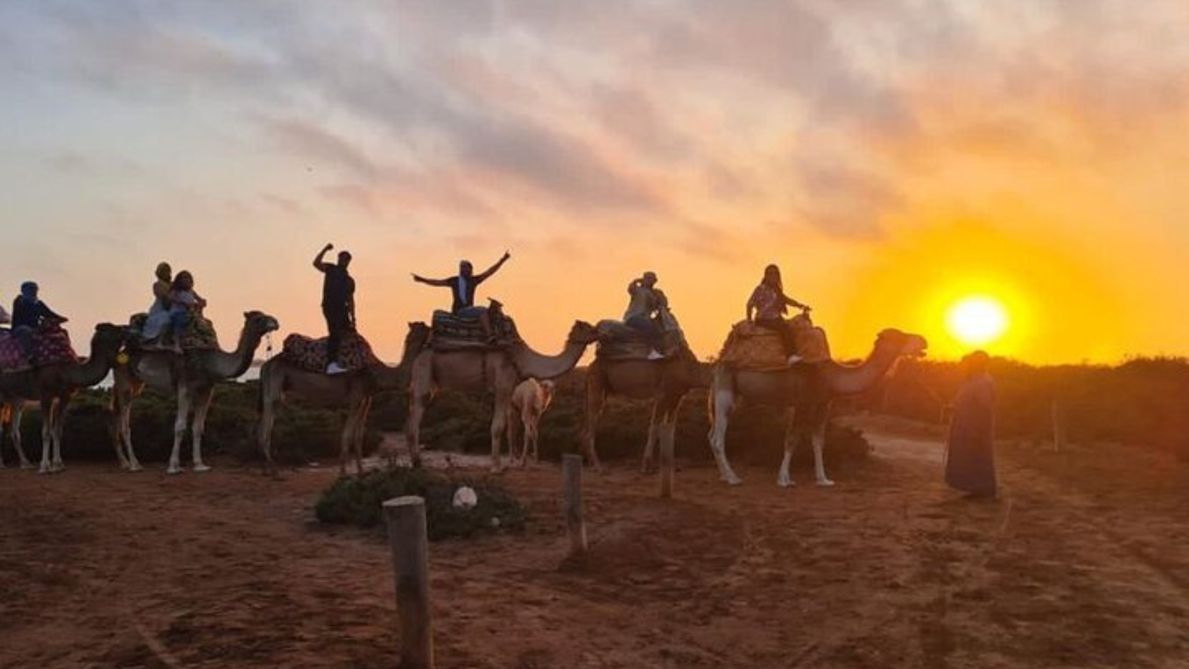 Sunset Camel Ride with BBQ and Couscouss Dinner