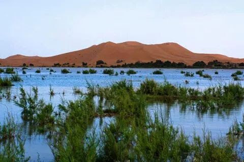 Merzouga Desert