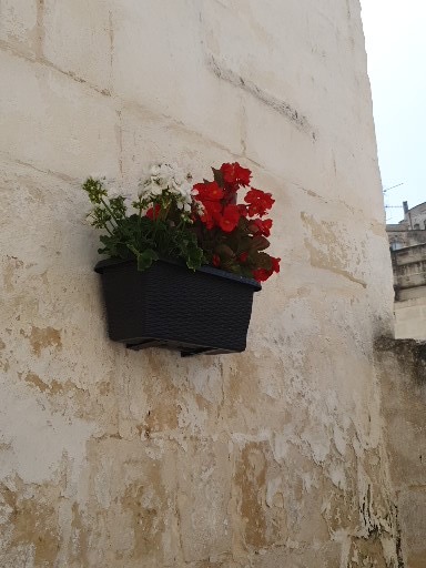 ristorante Bell'agio