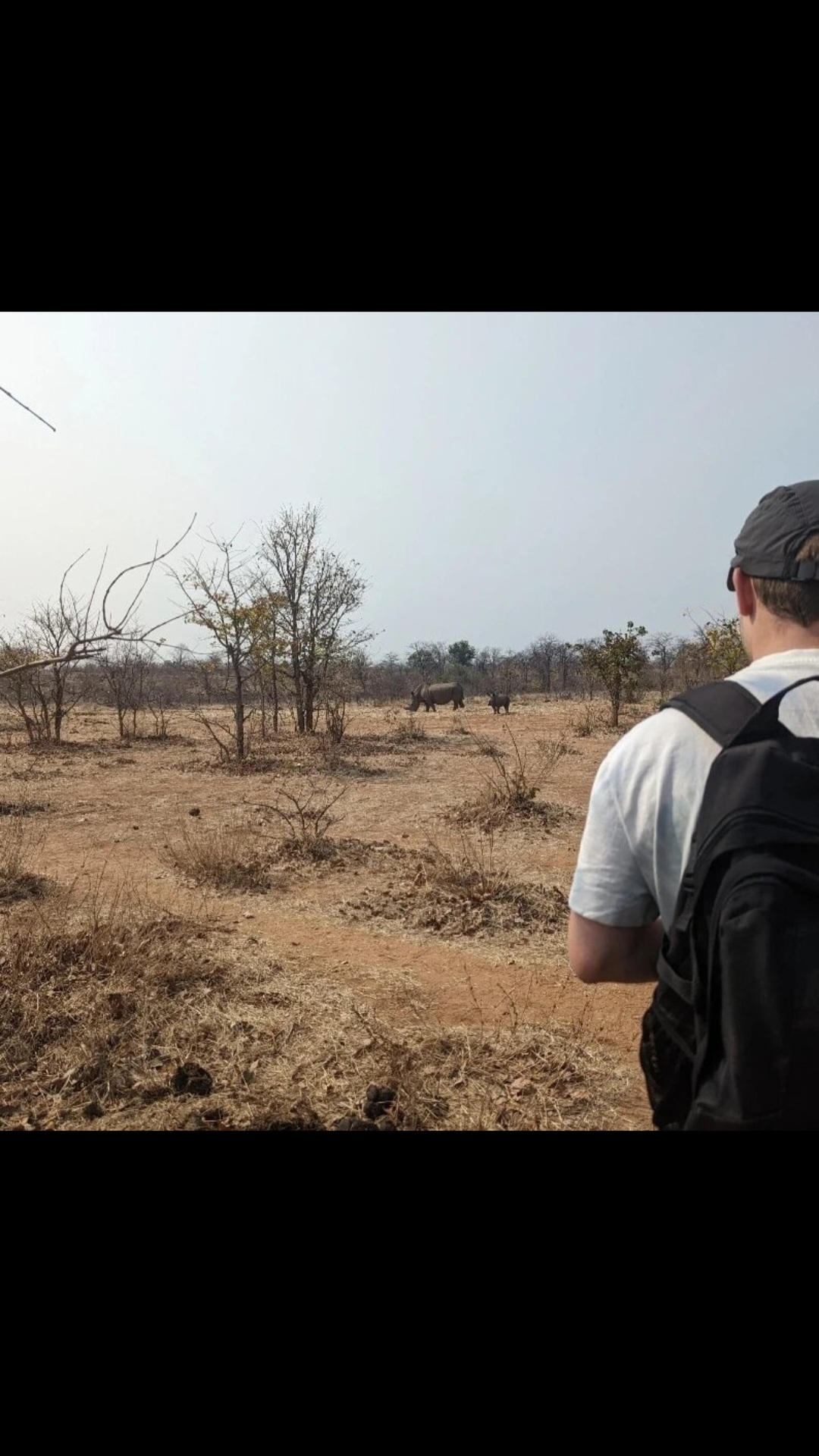 Akost Safaris