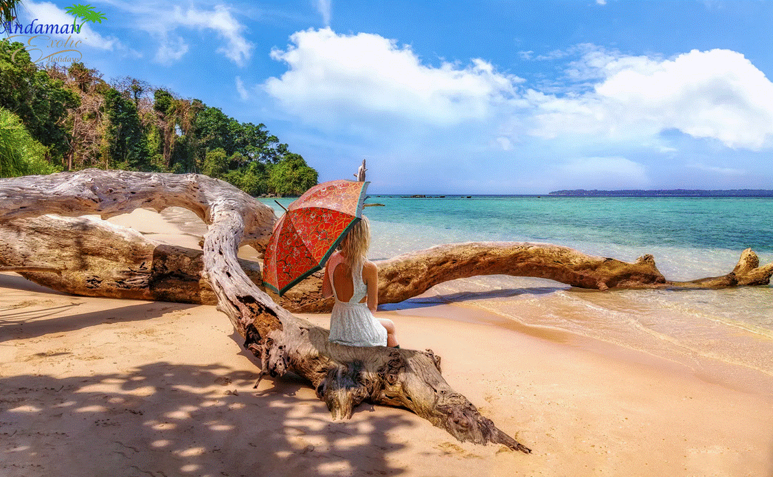 Andaman Exotic Holidays