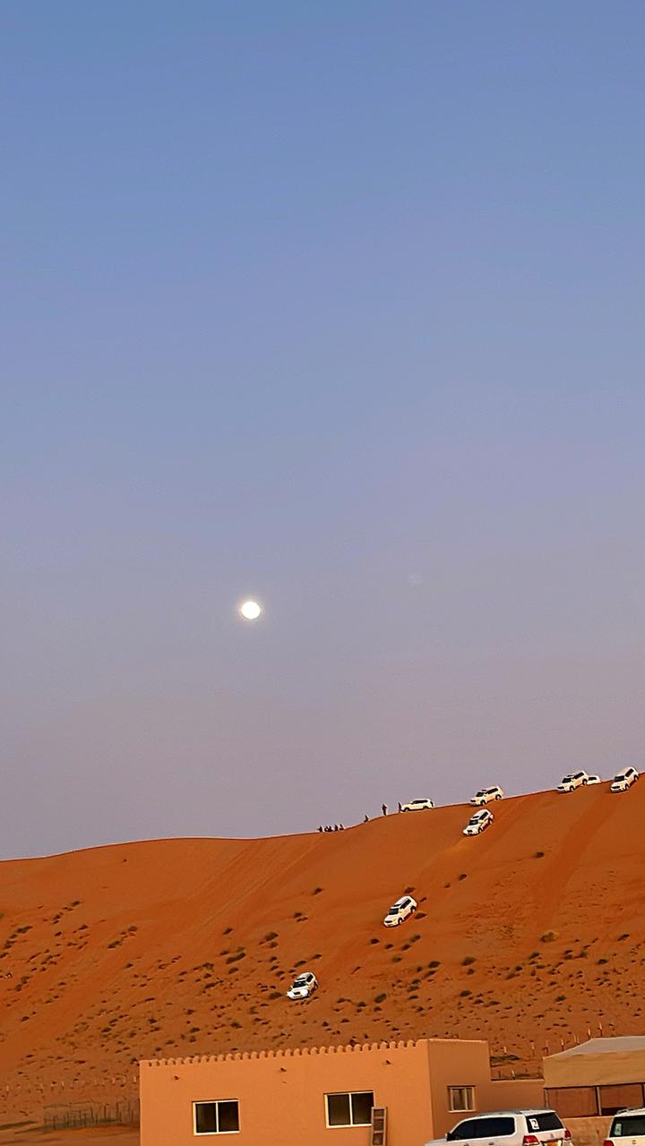 Desert safari