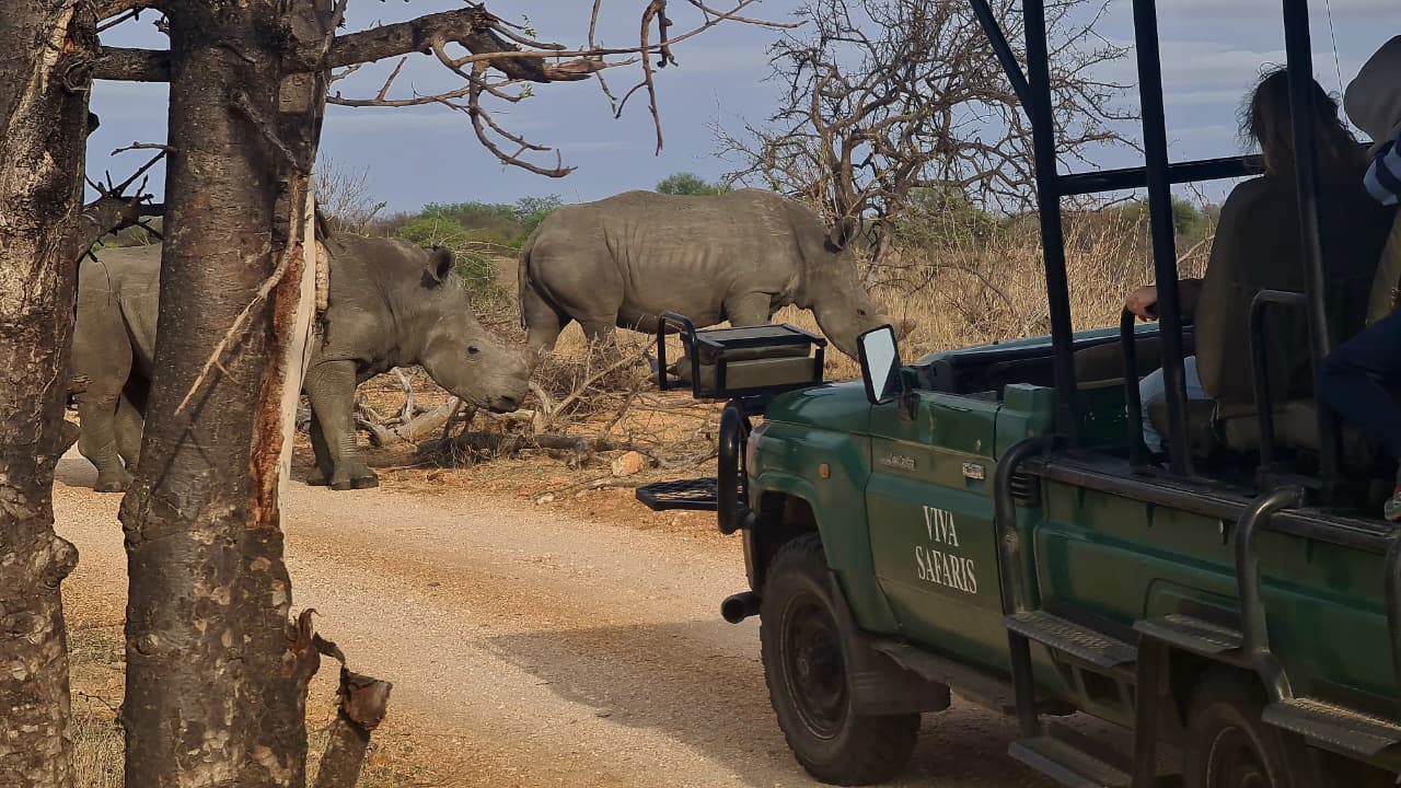 Viva Safaris