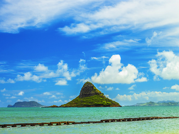 Fun Tours Oahu