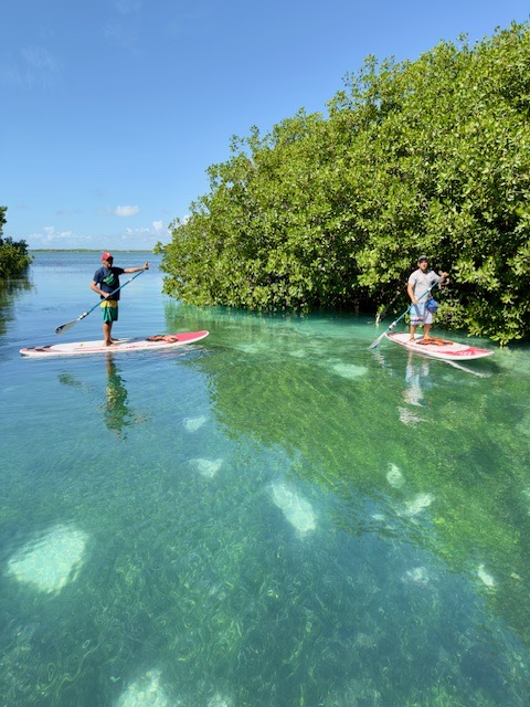 360 Kayak & Paddleboard Tours Cancun
