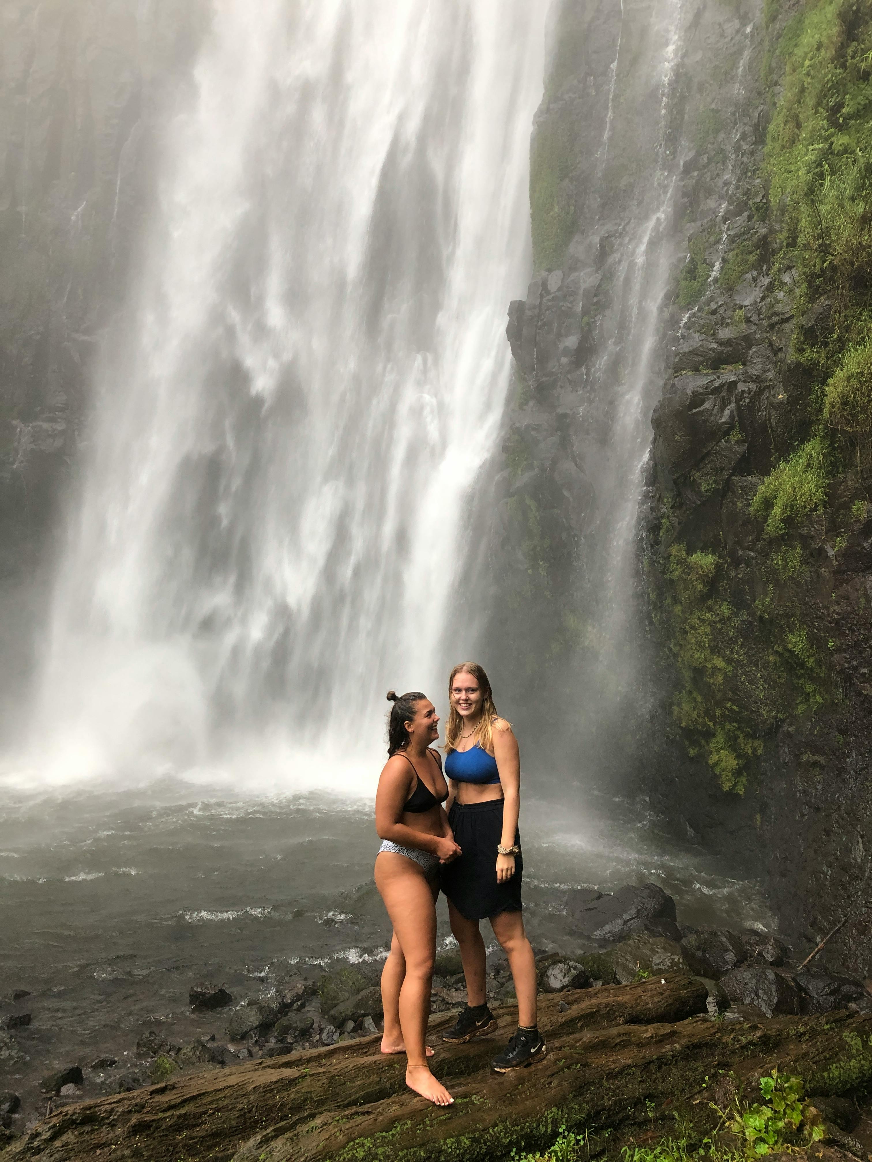 Safari Stride Travel