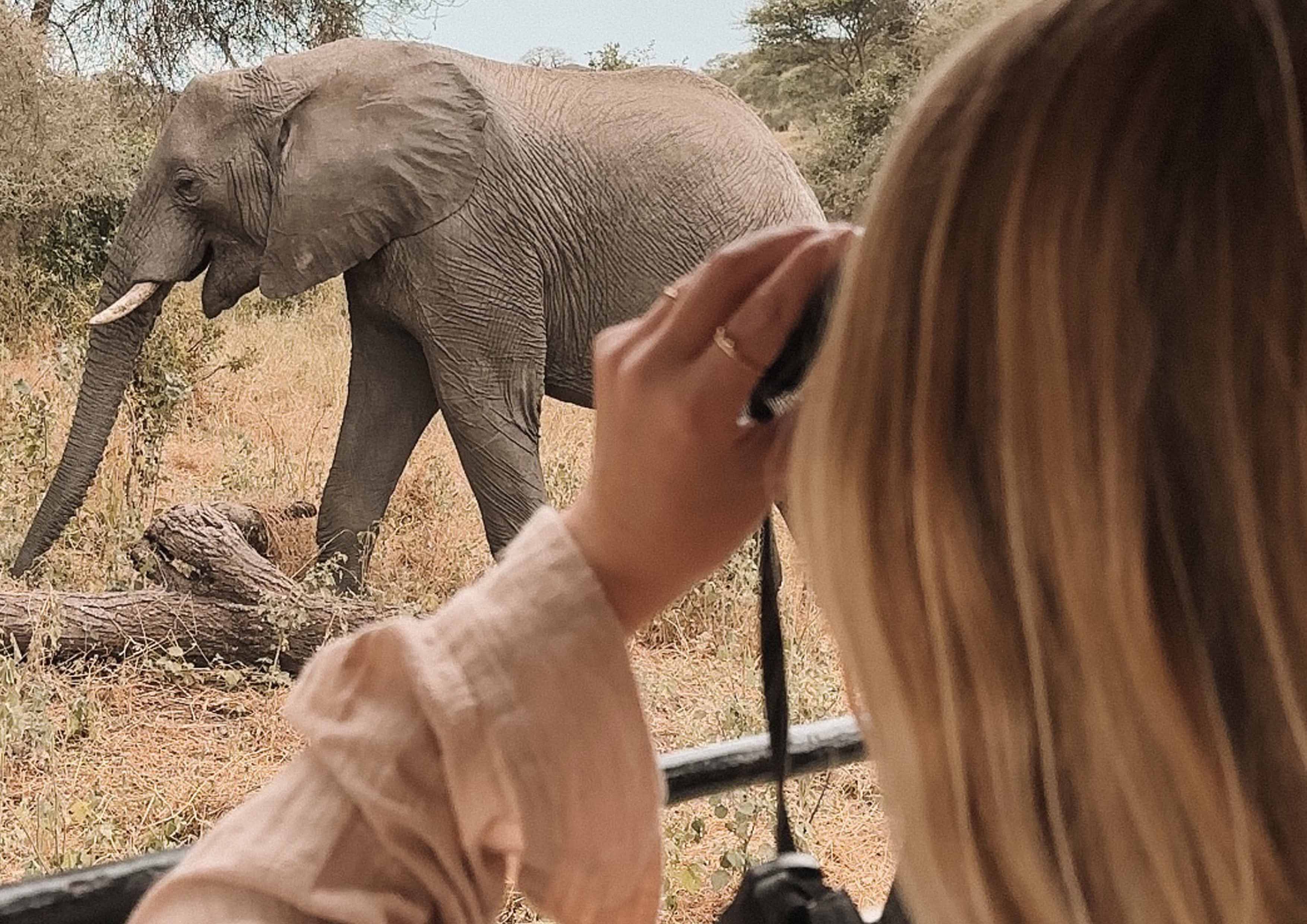Joagro Safaris Tanzania