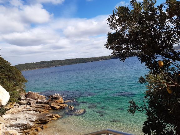 Real Sydney Tours