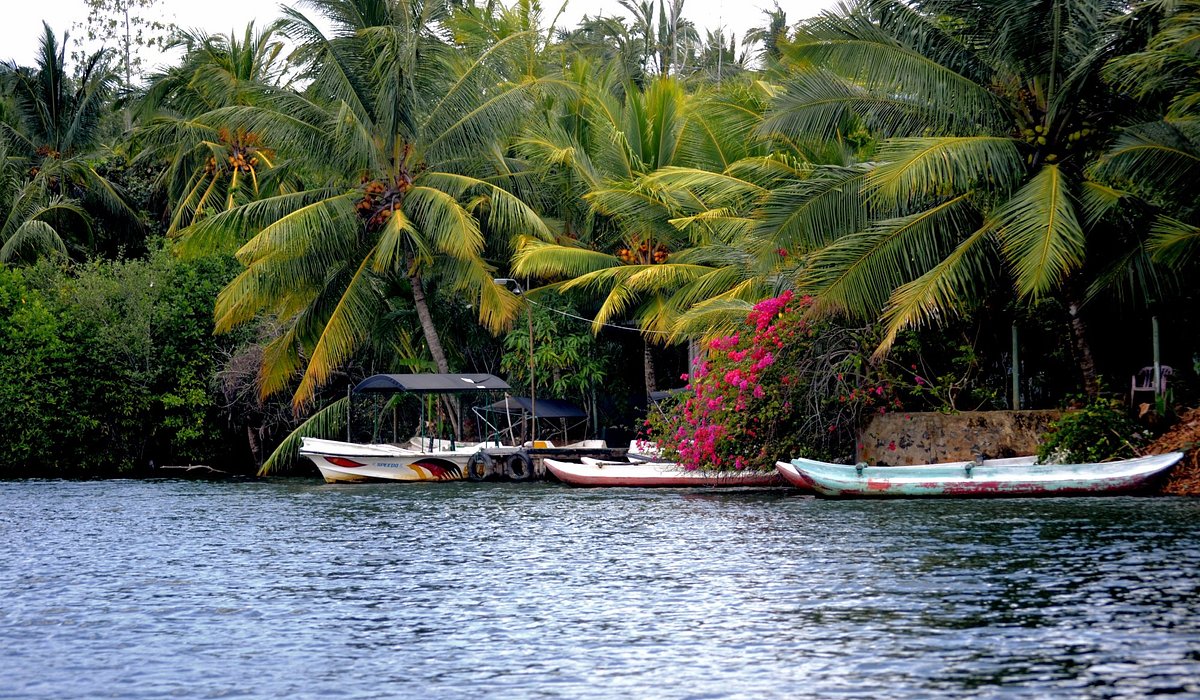 koggala lake siri lanka
