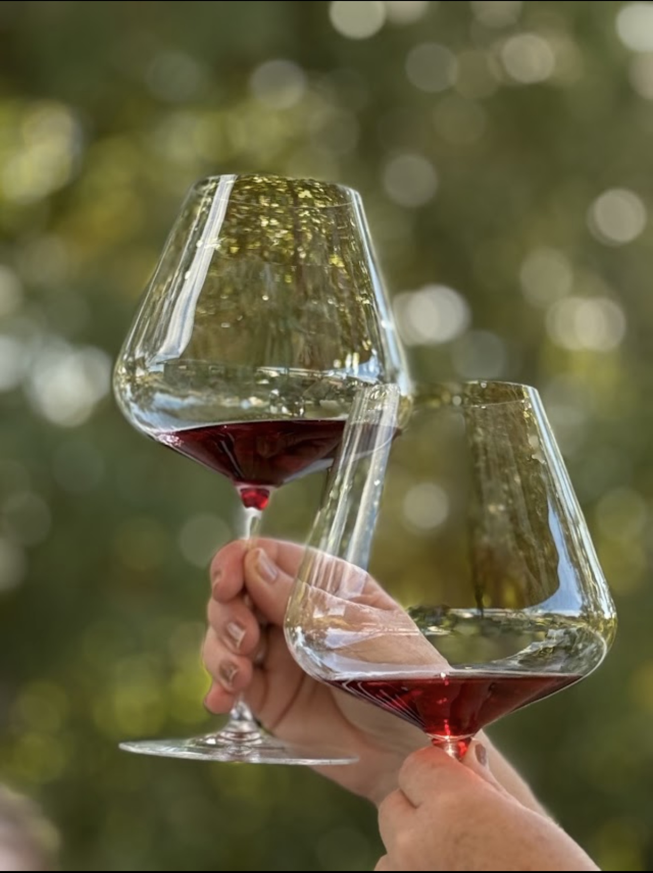 Orange region winery experience