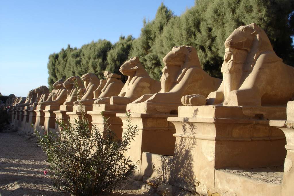 Ra Egypt tour guide