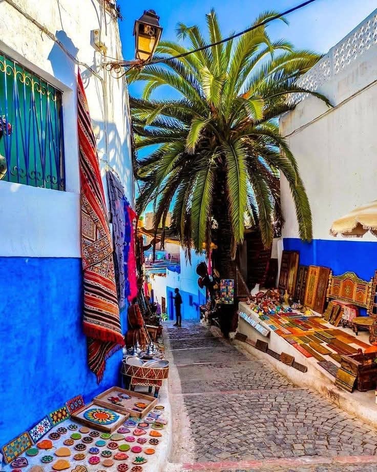 Fes to chefchaouen day trip