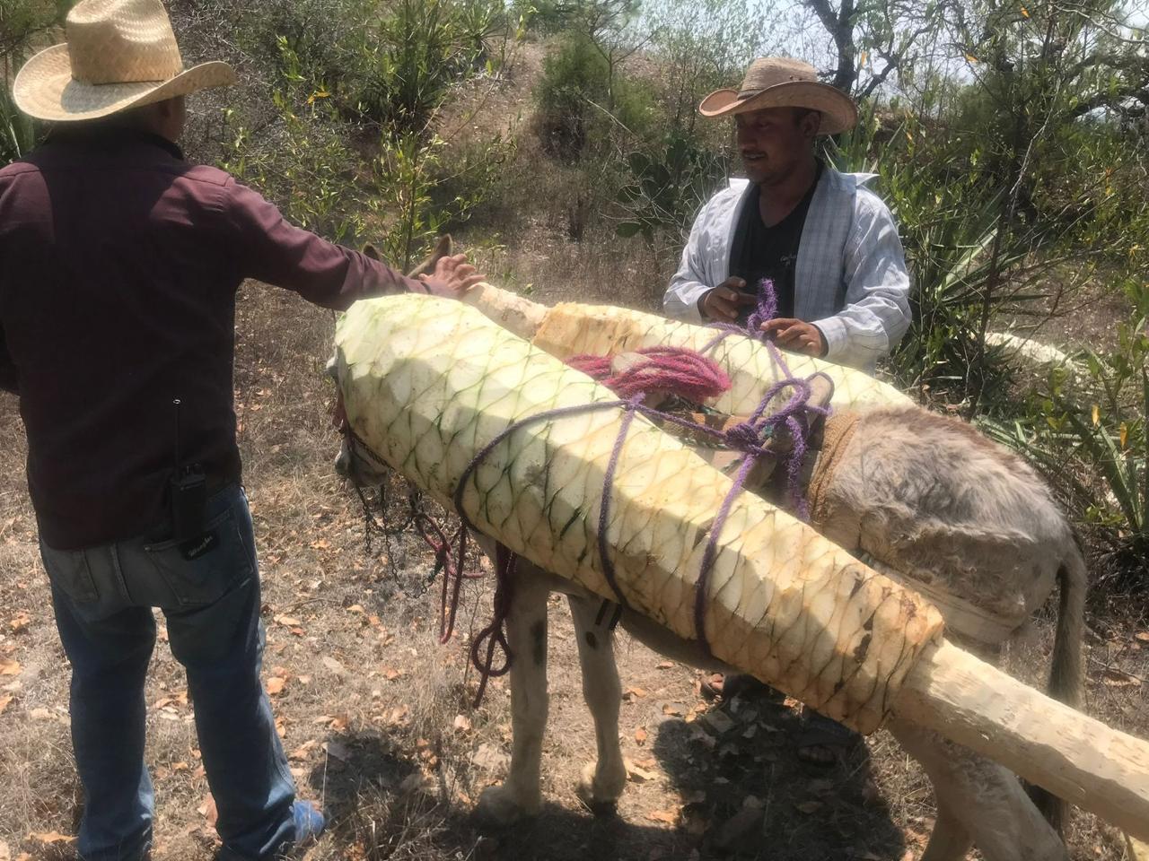 Mezcal Tour Oaxaca