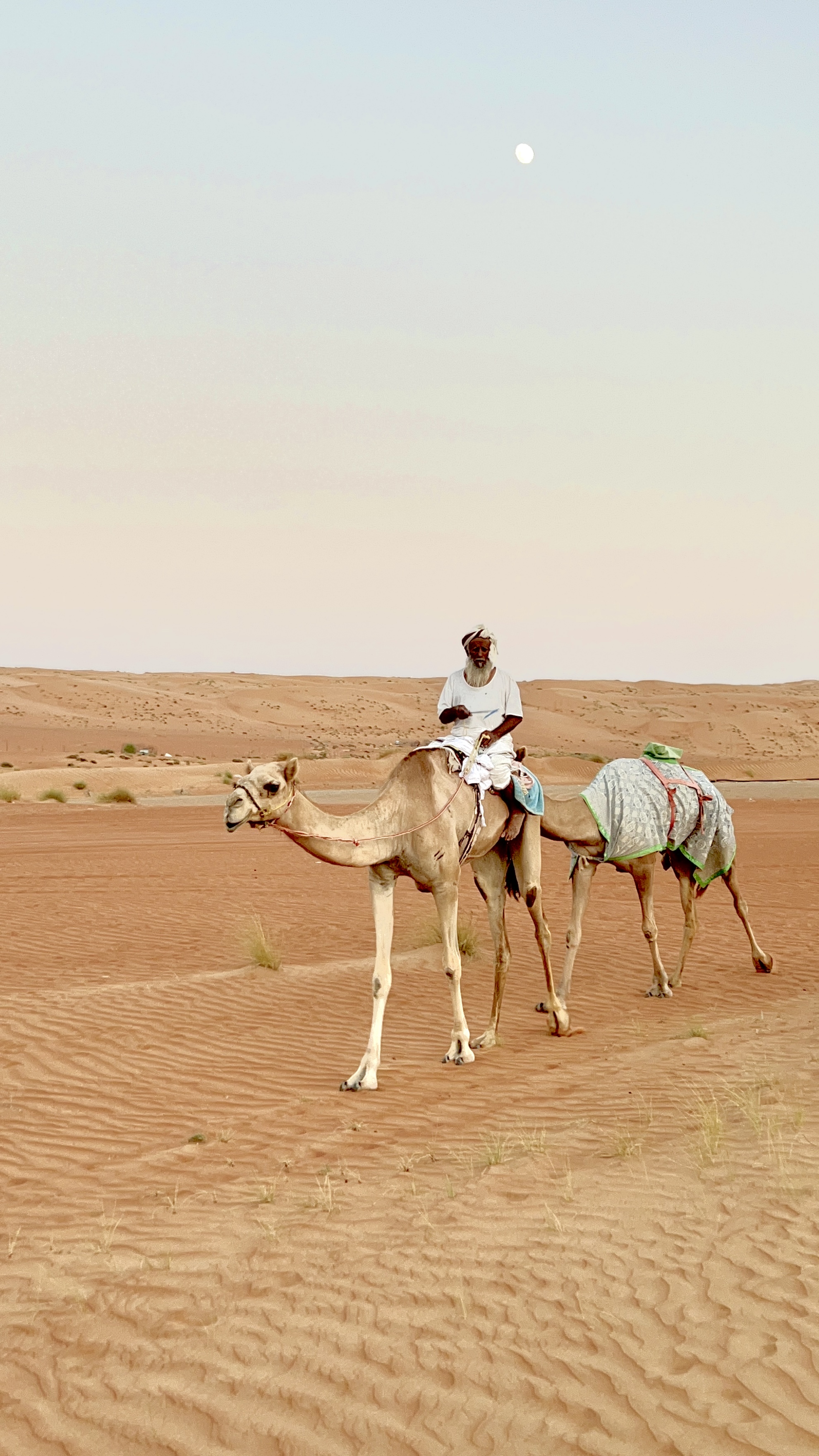 Desert safari