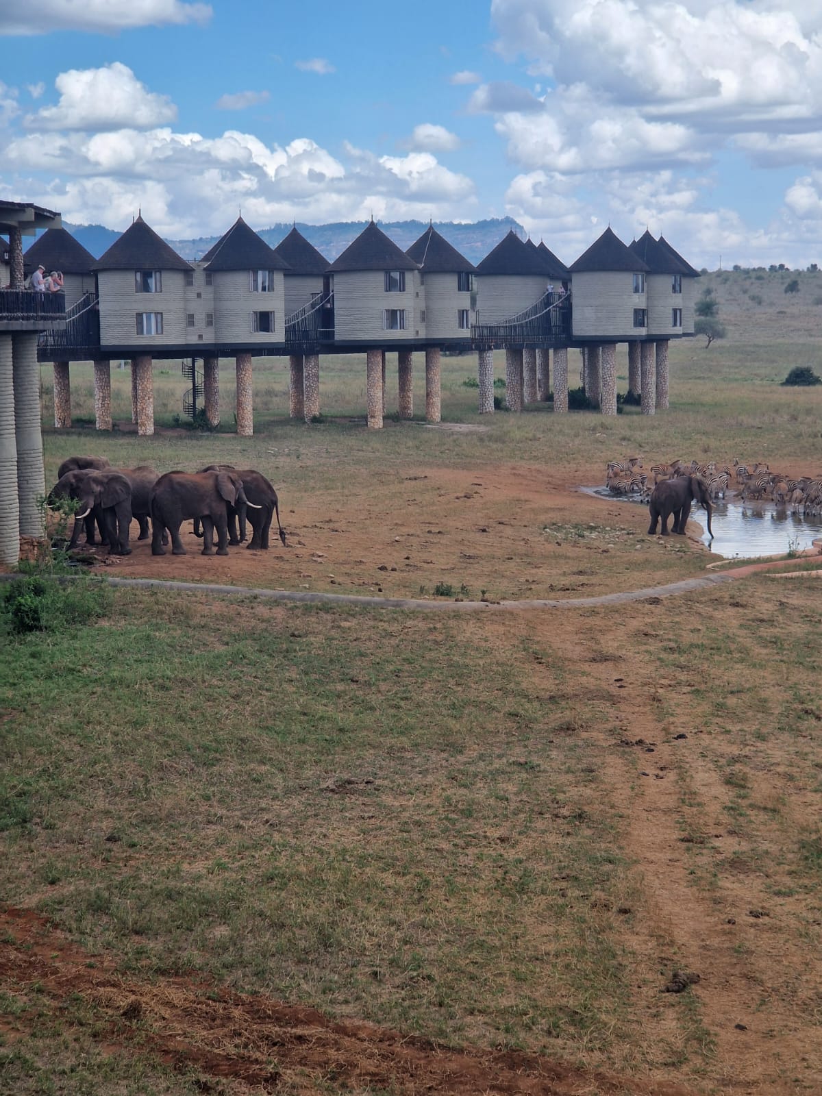 MARL KENYA SAFARIS