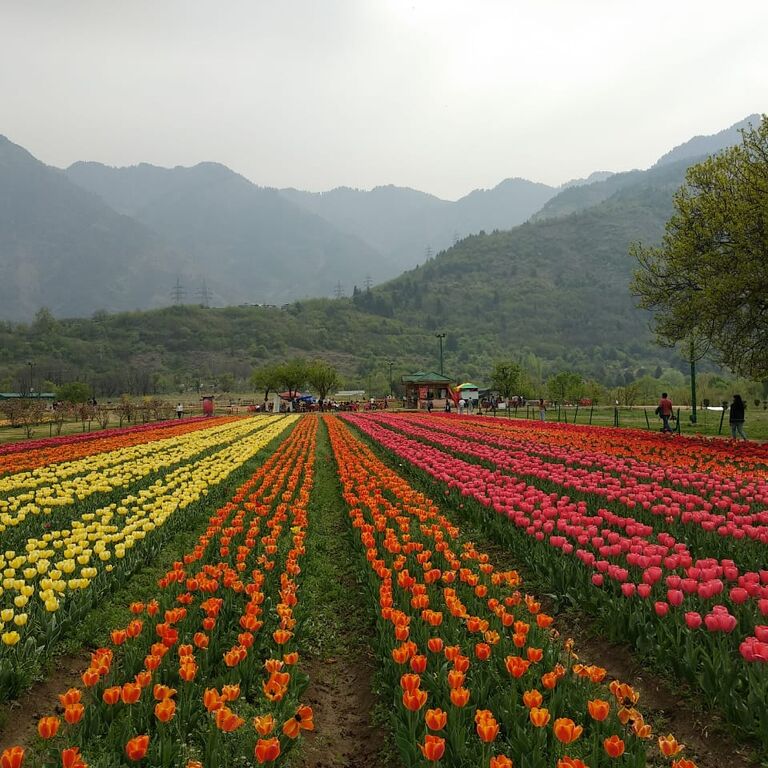 Lakes N Pine Tours and Travel