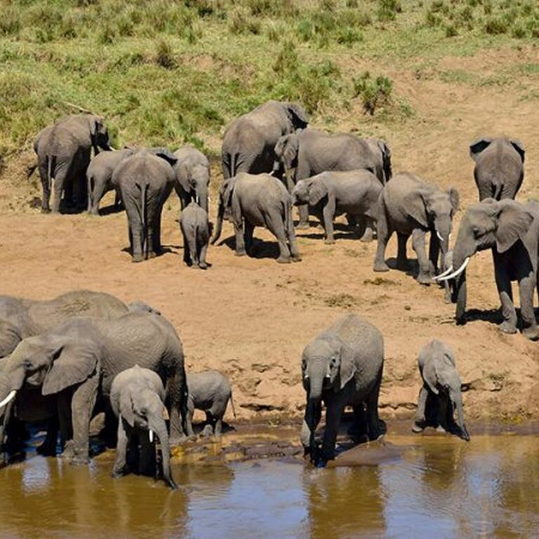 Edge Crest Tours