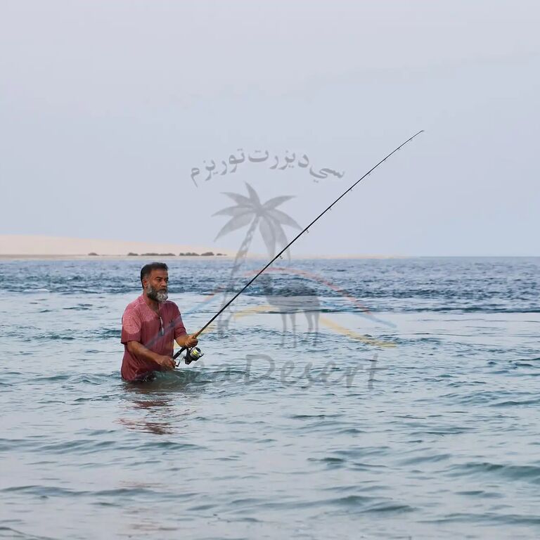 Sea Desert Tourism