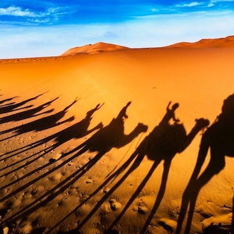 Sahara Desert Crew Tour Company