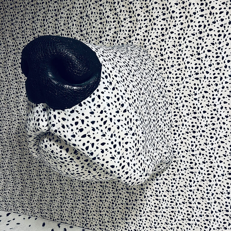 Home of the Dalmatian dog
