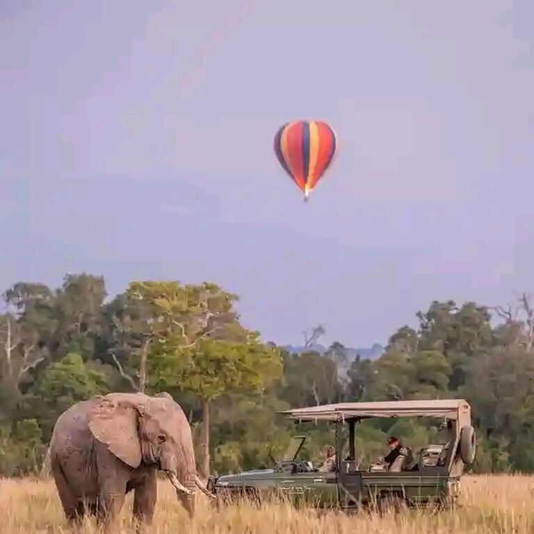 Eco World Safaris