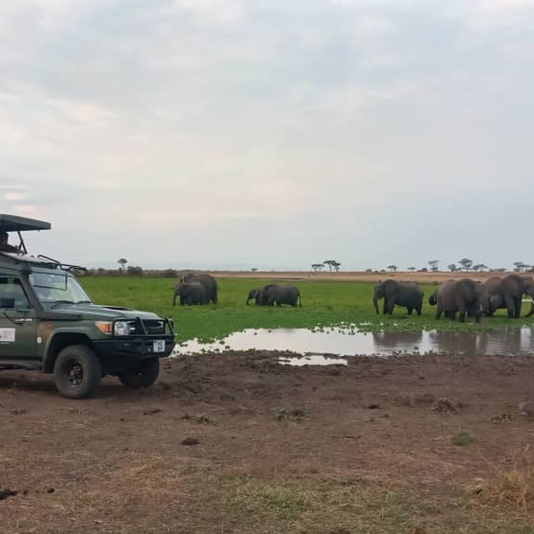 Three Peaks Tanzania safari