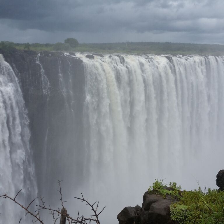 Afro Honeyguide Adventures