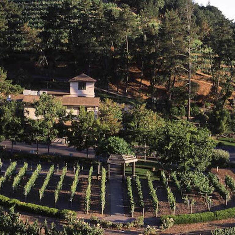 Wine Nation Tours
