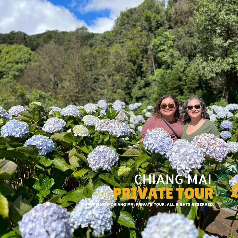 Chiang Mai Private Tour
