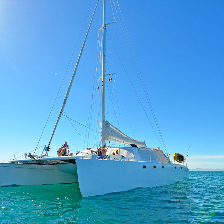 Baja Charters