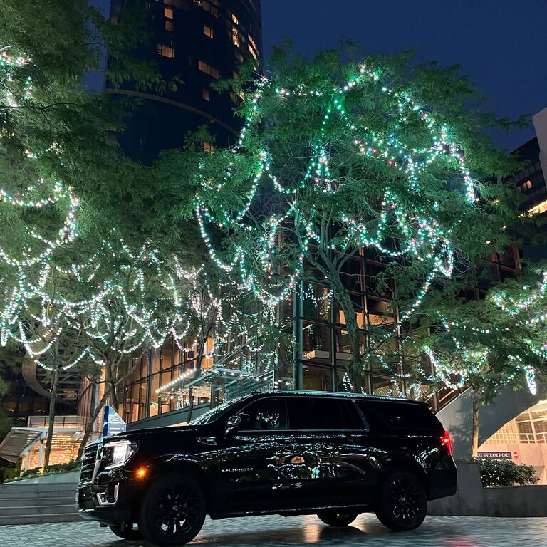 URBAN LIMOUSINE SERVICES LTD.