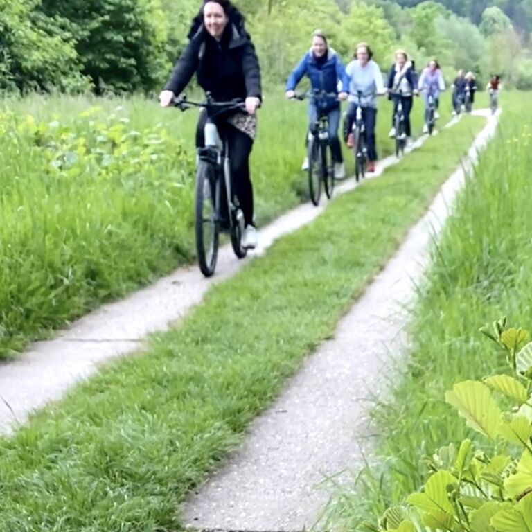 joyrides e-bike rental & tours