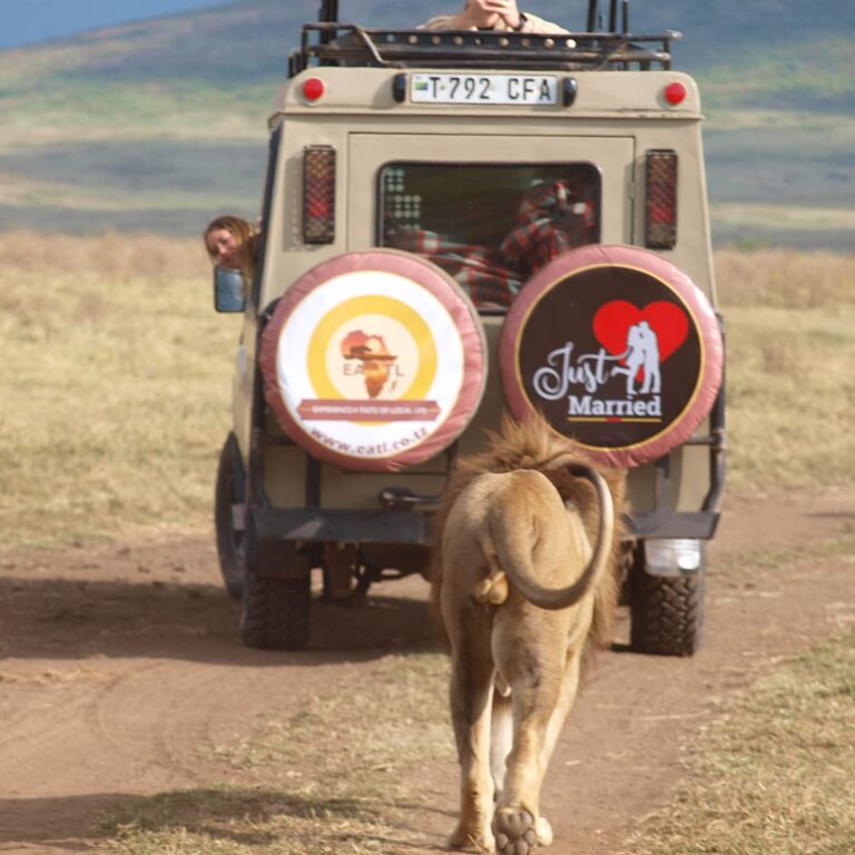 Eatl Tour & Safari Group