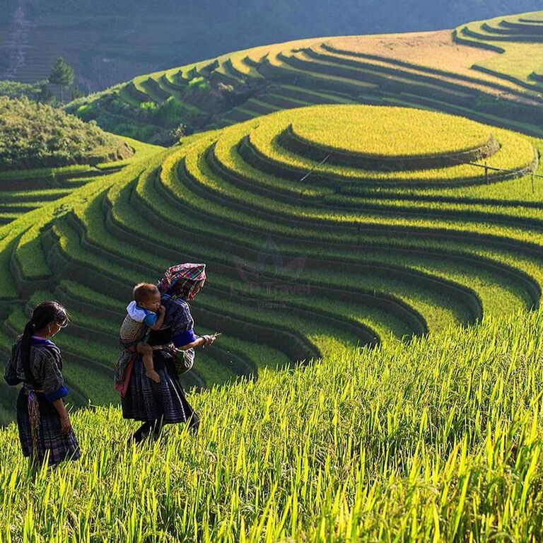 LVPTRAVEL VIETNAM